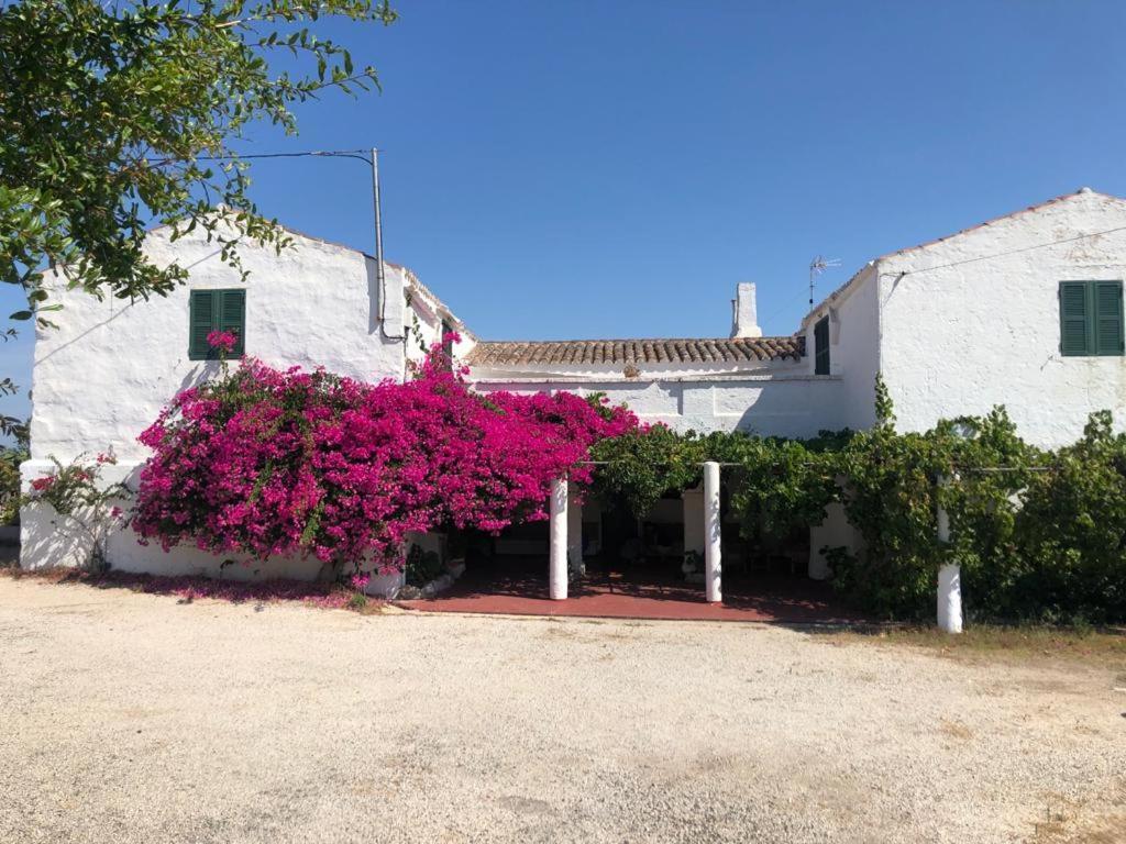 Agroturisme Binisaid Nou Cala Galdana  Exteriör bild