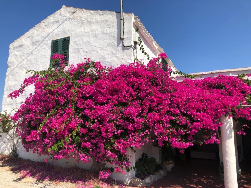 Agroturisme Binisaid Nou Cala Galdana  Exteriör bild